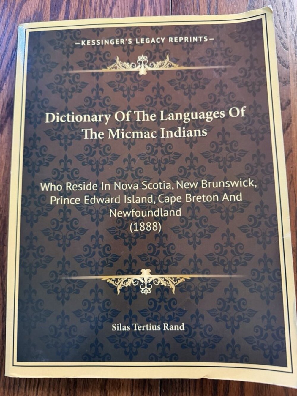 Dictionary of the Language of the Micmac Indians (Classic Reprint)